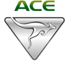ACE Electric Vehicles